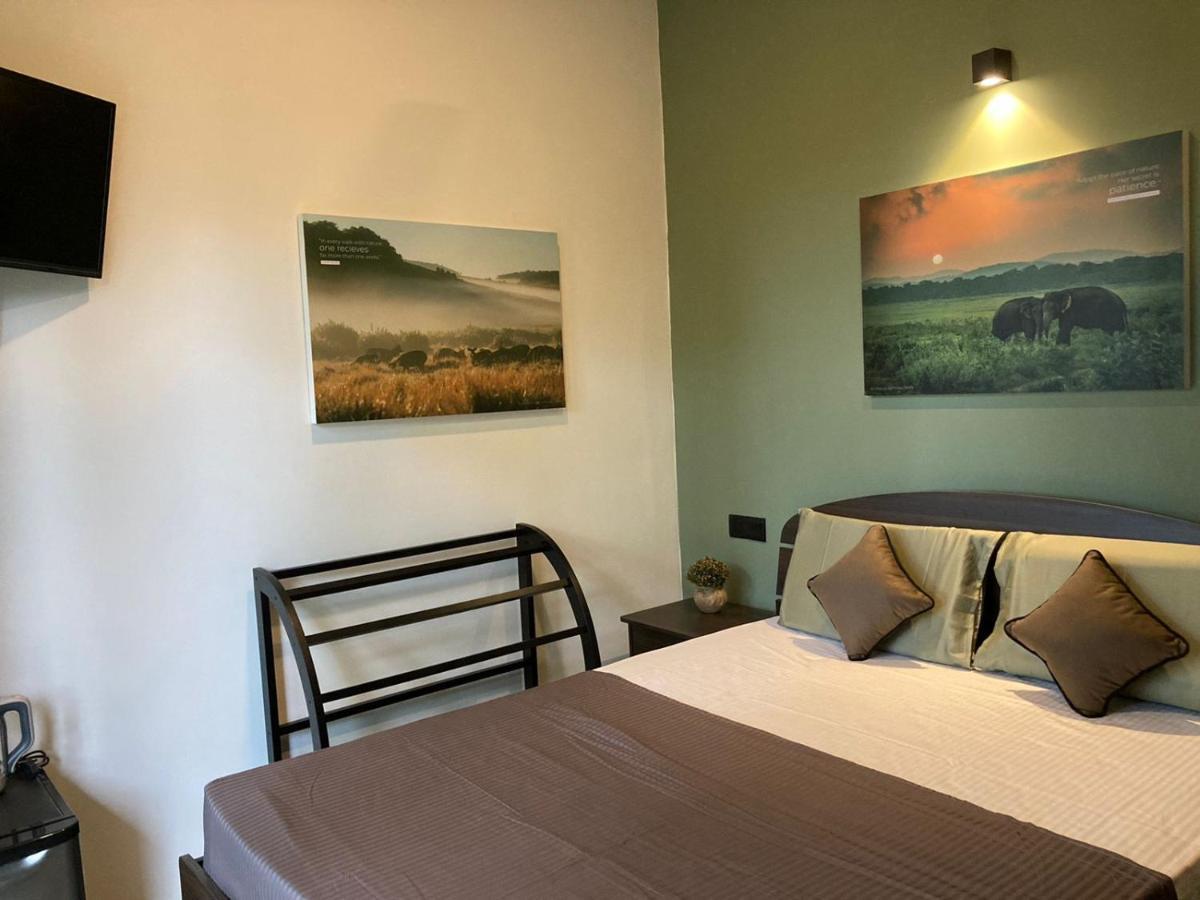 אלה Star Gaze Lodge מראה חיצוני תמונה