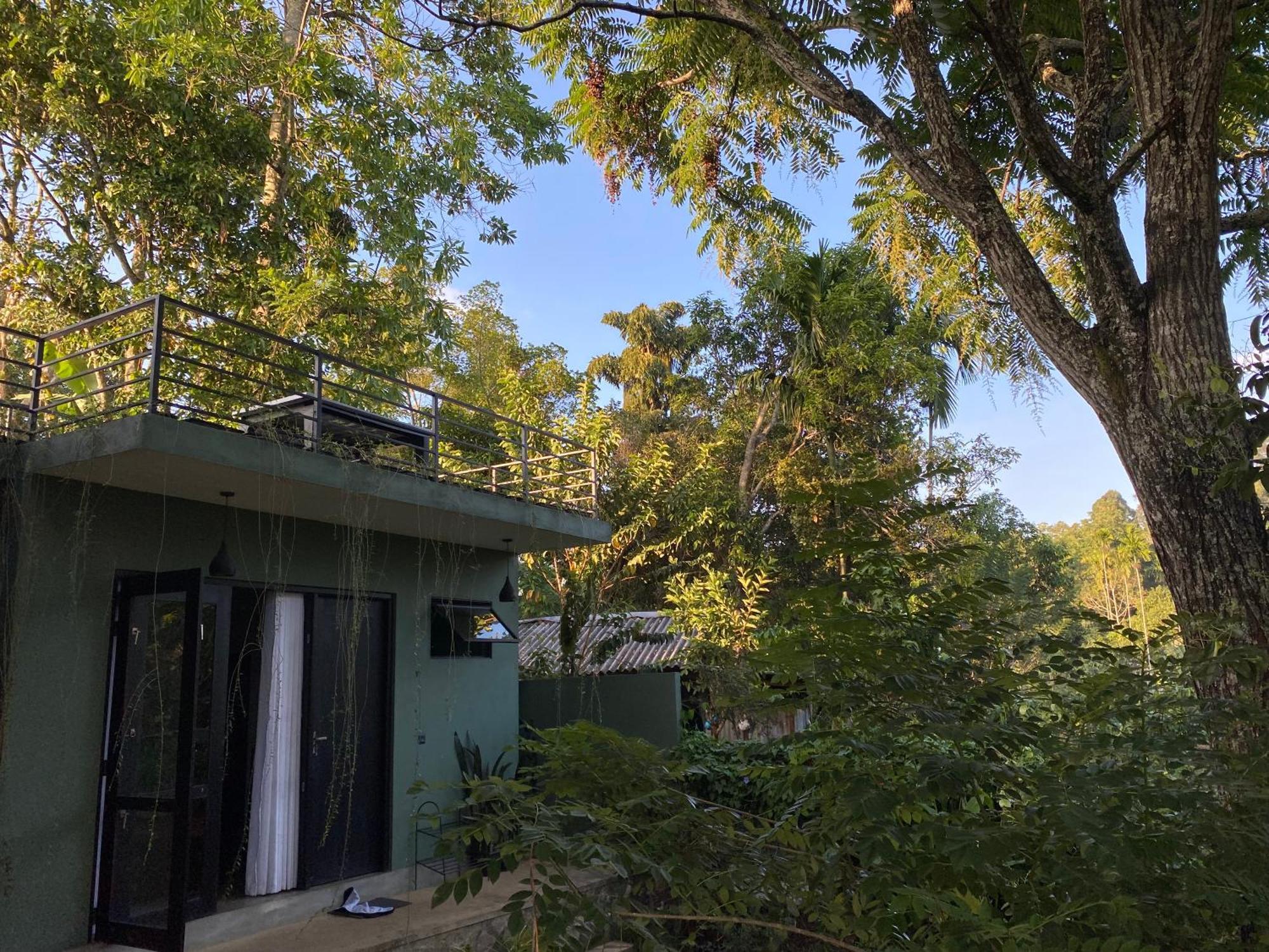 אלה Star Gaze Lodge מראה חיצוני תמונה